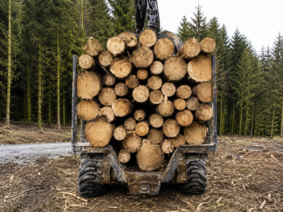 Kiln dried standard Softwood (Pallet 60 Bags)