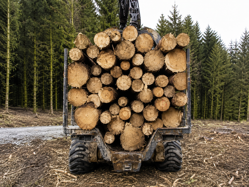 Kiln dried standard Hardwood (Pallet 60 Bags)