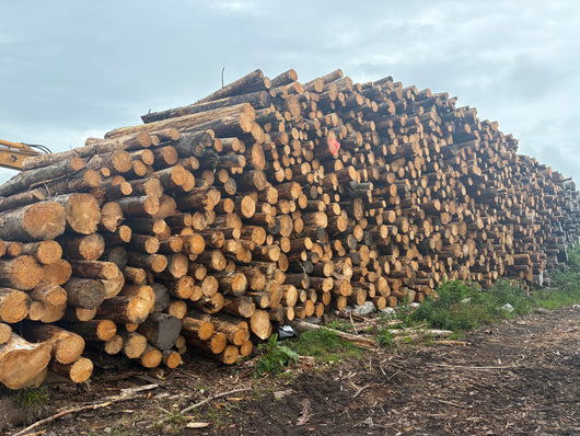 Kiln dried standard Softwood (Pallet 60 Bags)