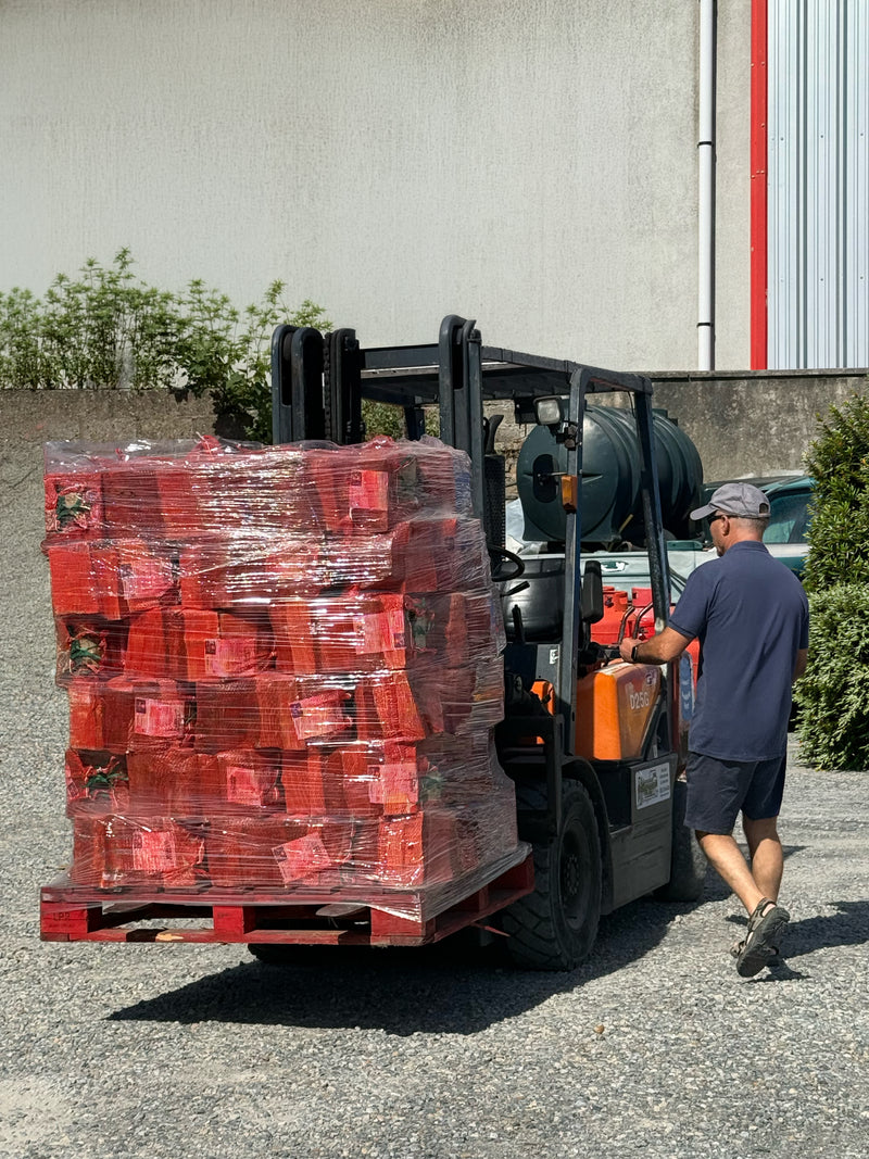 Treacy Logistics